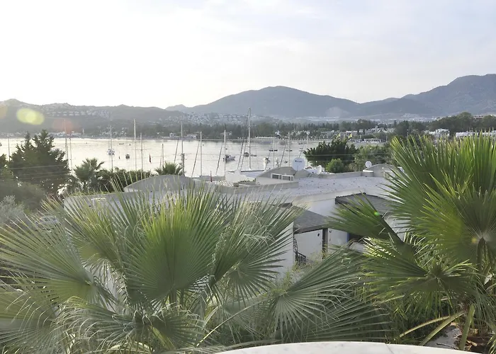 Marinada